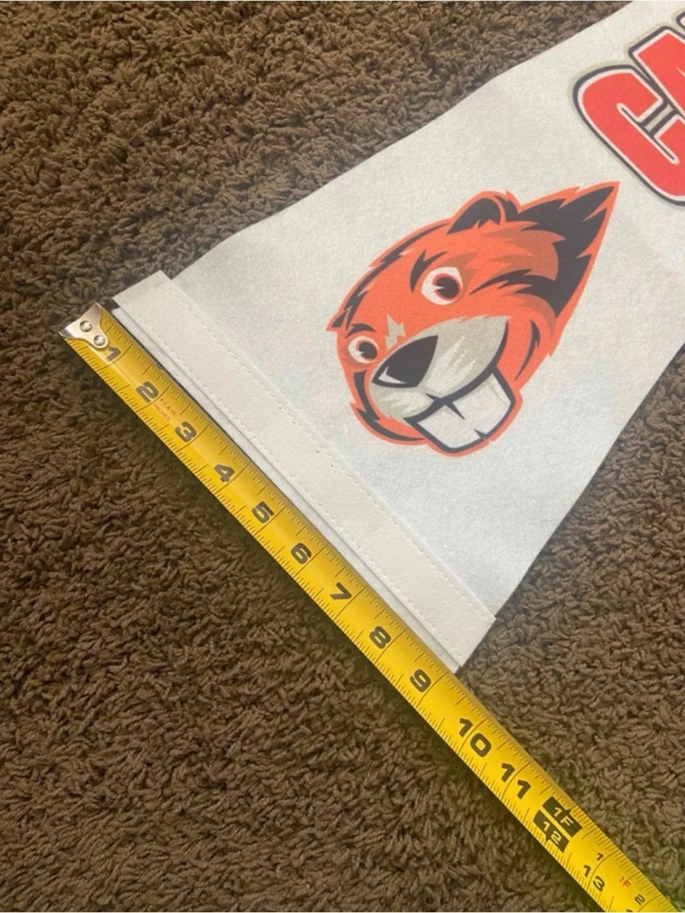 White and Orange Small Caltech Pennant Size: 9
